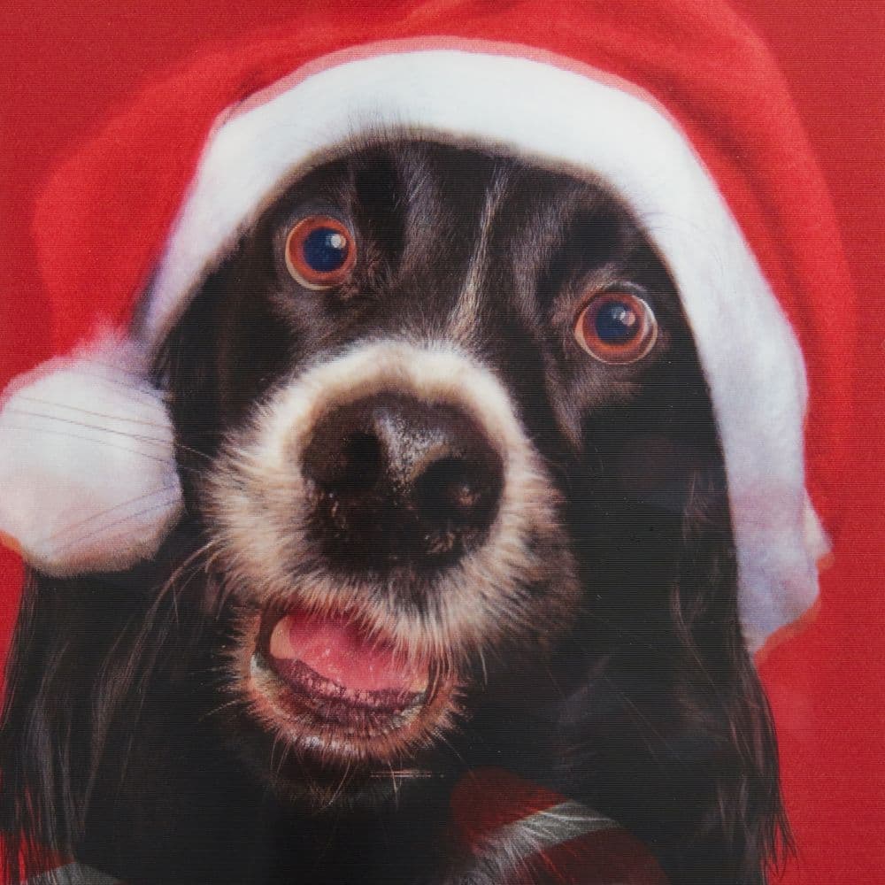 Dog and Candy Cane Christmas Card