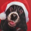 image Dog and Candy Cane Christmas Card Third Alternate Image width=&quot;1000&quot; height=&quot;1000&quot;