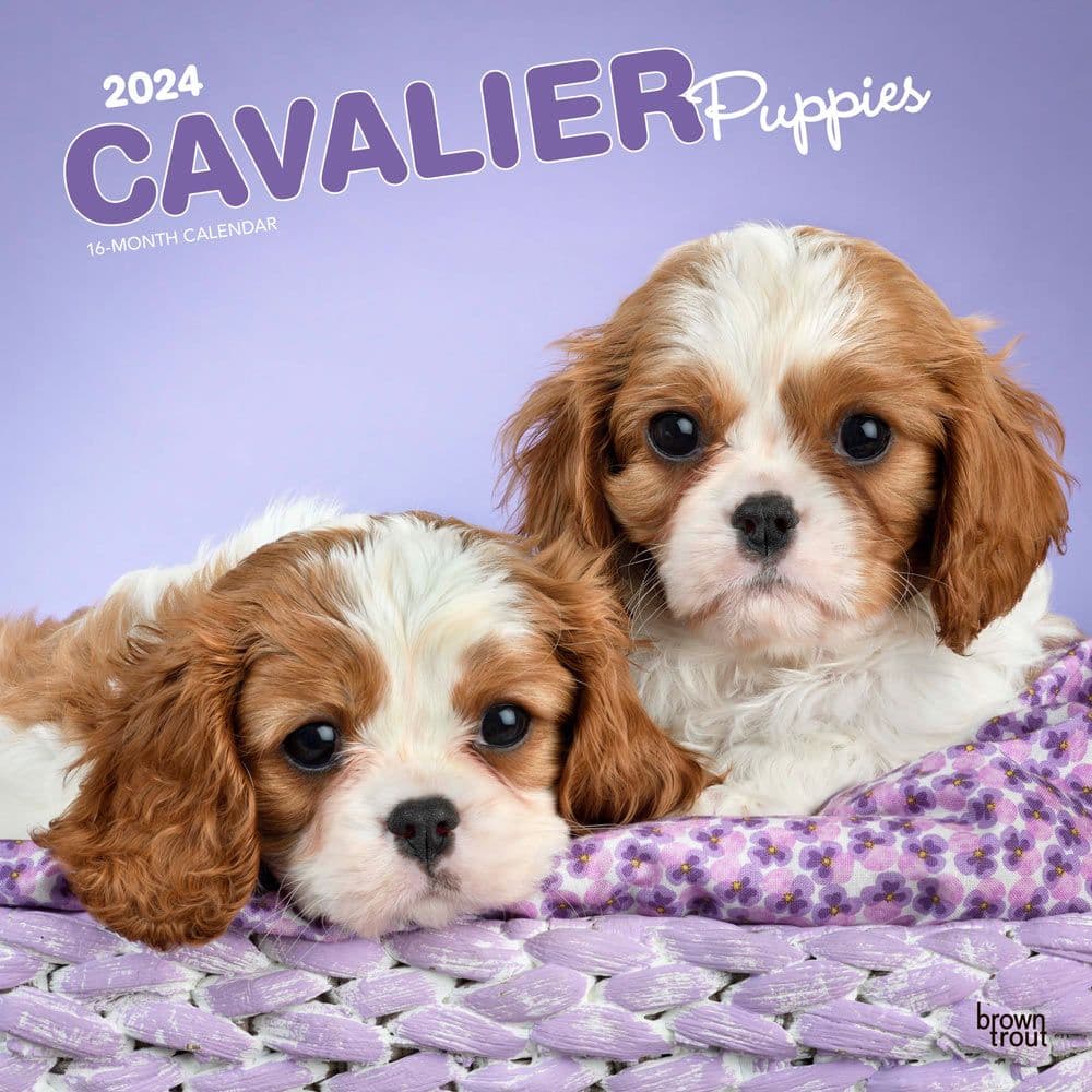 Cavalier King Charles Puppies 2024 Wall Calendar Main Product Image width=&quot;1000&quot; height=&quot;1000&quot;