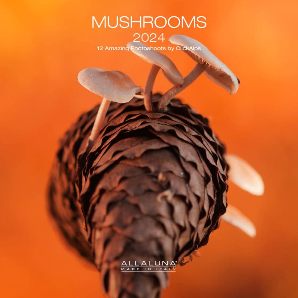 Mushrooms 2024 Mini Wall Calendar