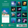 image Jellyfish 2024 Wall Calendar First Alternate Image width=&quot;1000&quot; height=&quot;1000&quot;