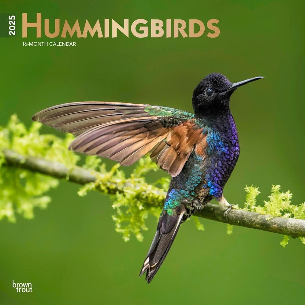 Hummingbirds 2025 Wall Calendar