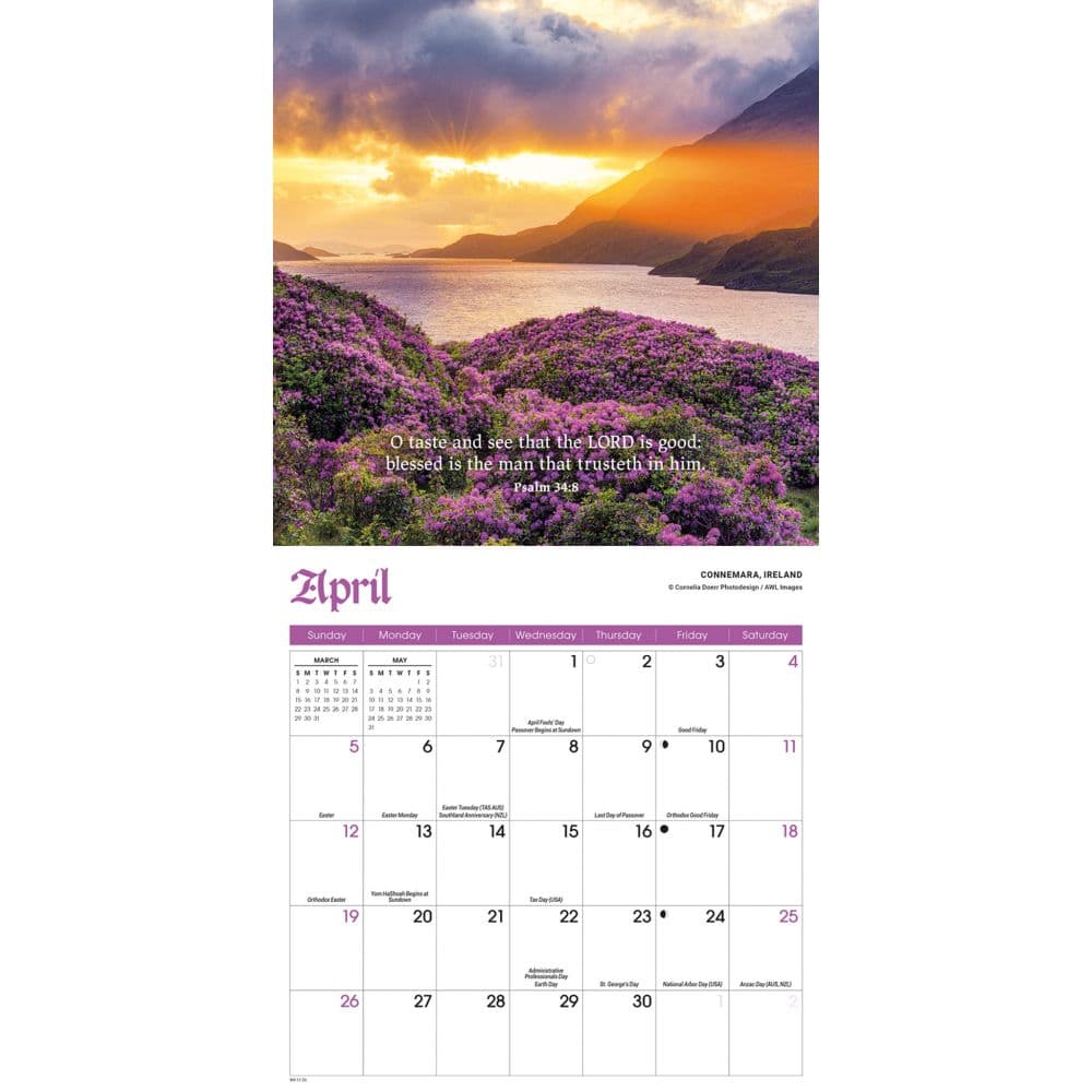 Psalms Special Value 2026 Mini Wall Calendar Second Alternate Image