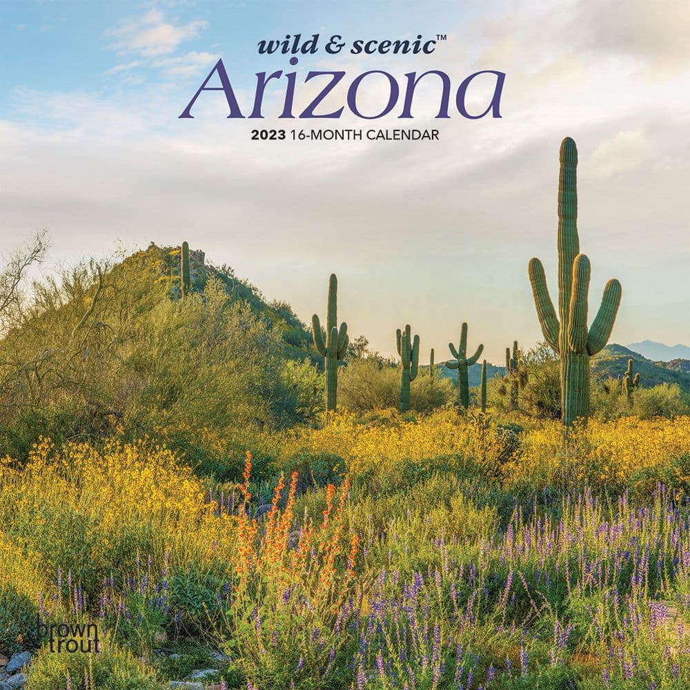 Arizona Wild and Scenic 2023 Mini Wall Calendar