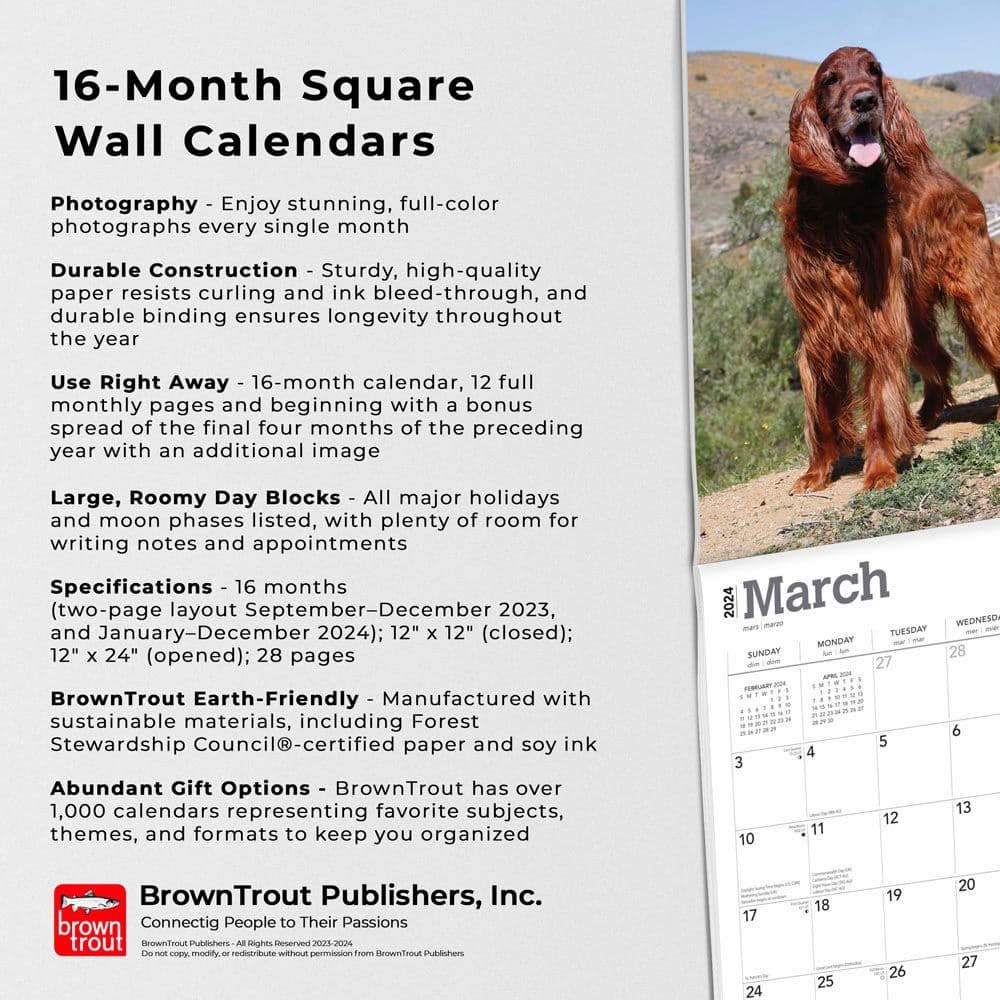 Irish Setters 2024 Wall Calendar Fourth Alternate Image width=&quot;1000&quot; height=&quot;1000&quot;