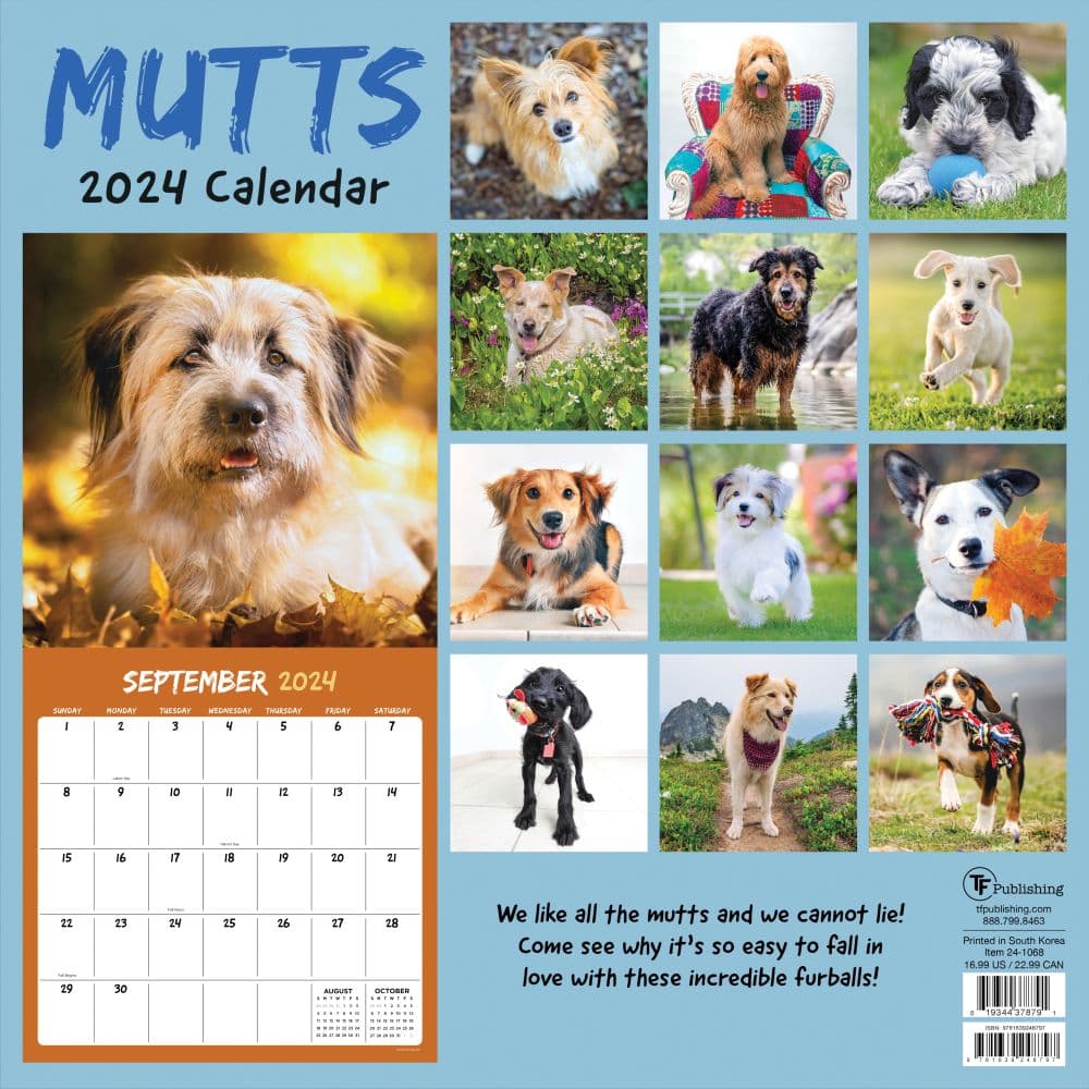 Mutts 2024 Wall Calendar - Calendars.com