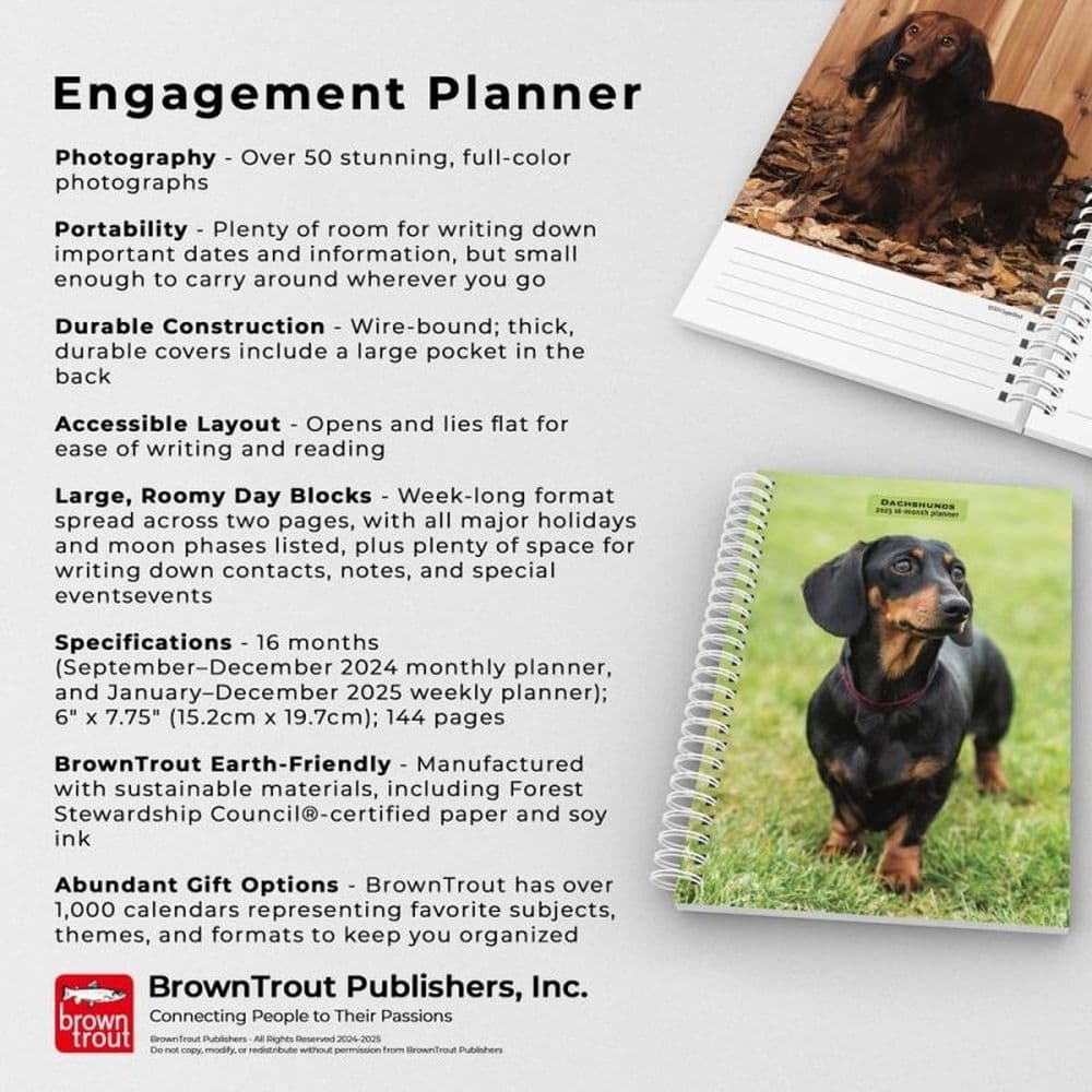 Dachshunds 2025 Engagement Planner Fifth Alternate Image