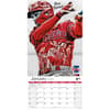 image MLB Lauren Taylor 2025 Wall Calendar Second Alternate Image