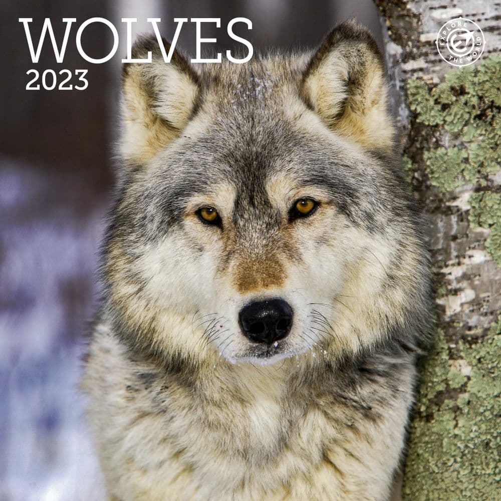 Ziga Media Wolves 2023 Mini Wall Calendar