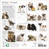 image Pugs &amp; Friends 2024 Wall Calendar First Alternate Image width=&quot;1000&quot; height=&quot;1000&quot;