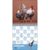 image Extraordinary Chickens 2026 Wall Calendar Second Alternate Image
