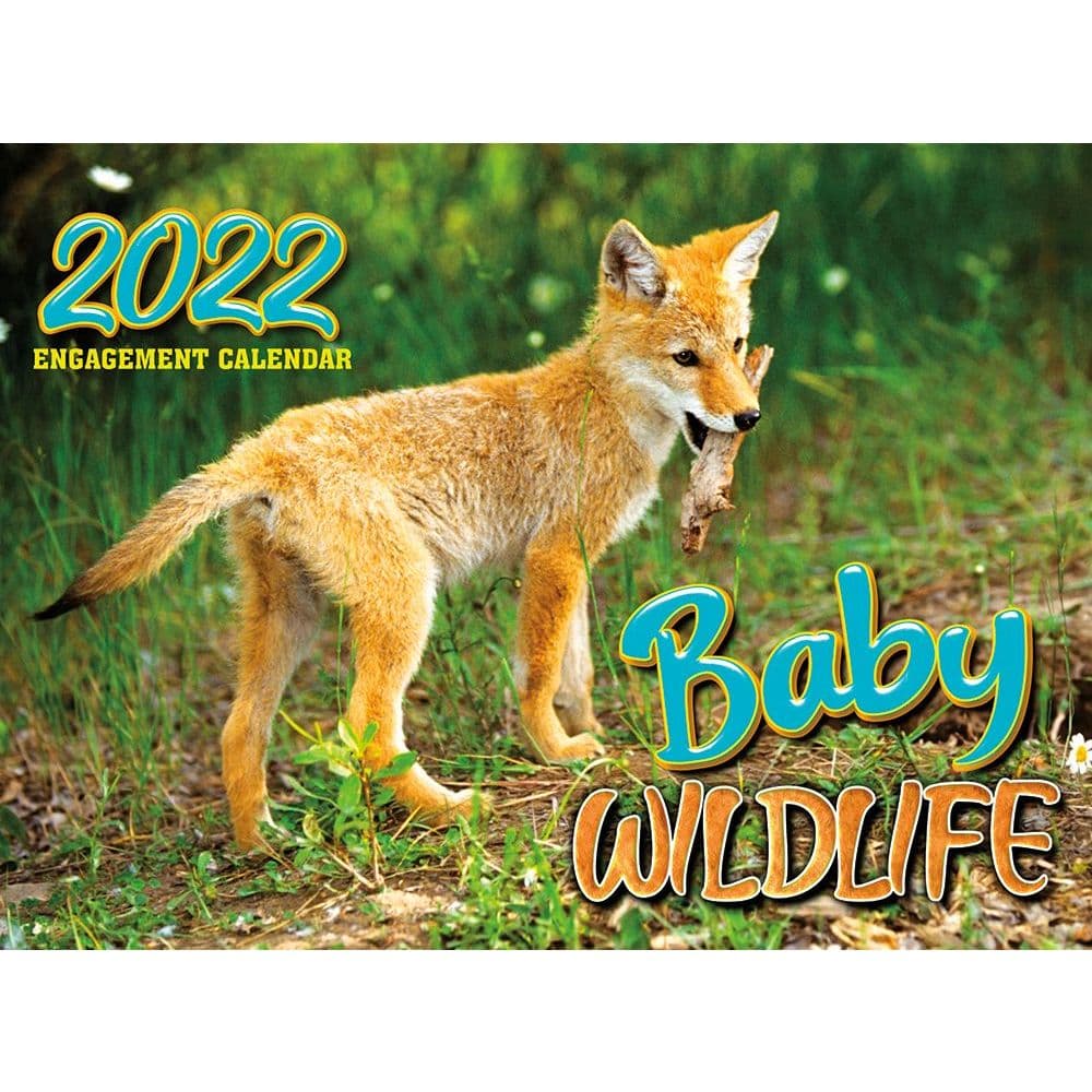 2022 Fox Hunt Calendar February Calendar 2022