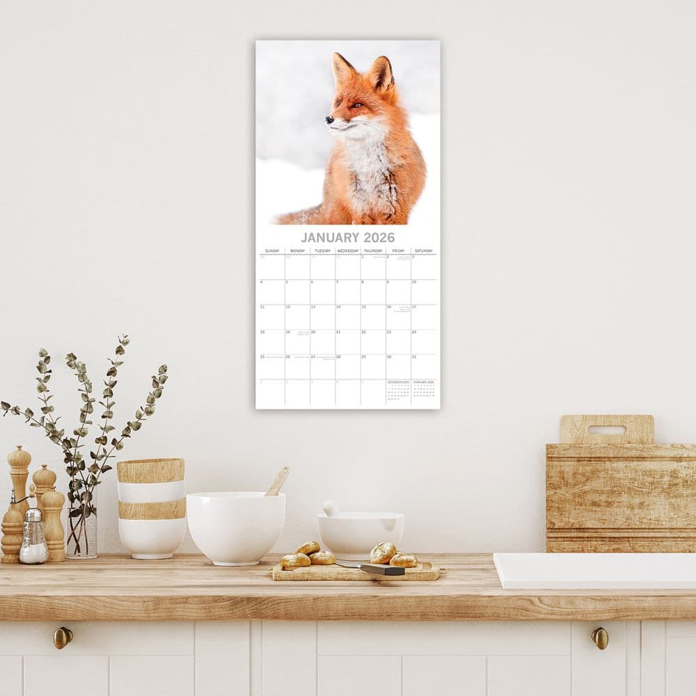 Foxes 2026 Wall Calendar Second Alternate Image