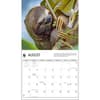 image Sloths WWF 2025 Wall Calendar Second Alternate Image width=&quot;1000&quot; height=&quot;1000&quot;