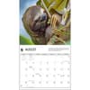 image Sloths WWF 2025 Wall Calendar Second Alternate Image width=&quot;1000&quot; height=&quot;1000&quot;