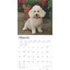 image Toy Miniature Poodles 2025 Wall Calendar