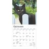 image Cat Lovers 2025 Mini Wall Calendar Third Alternate Image