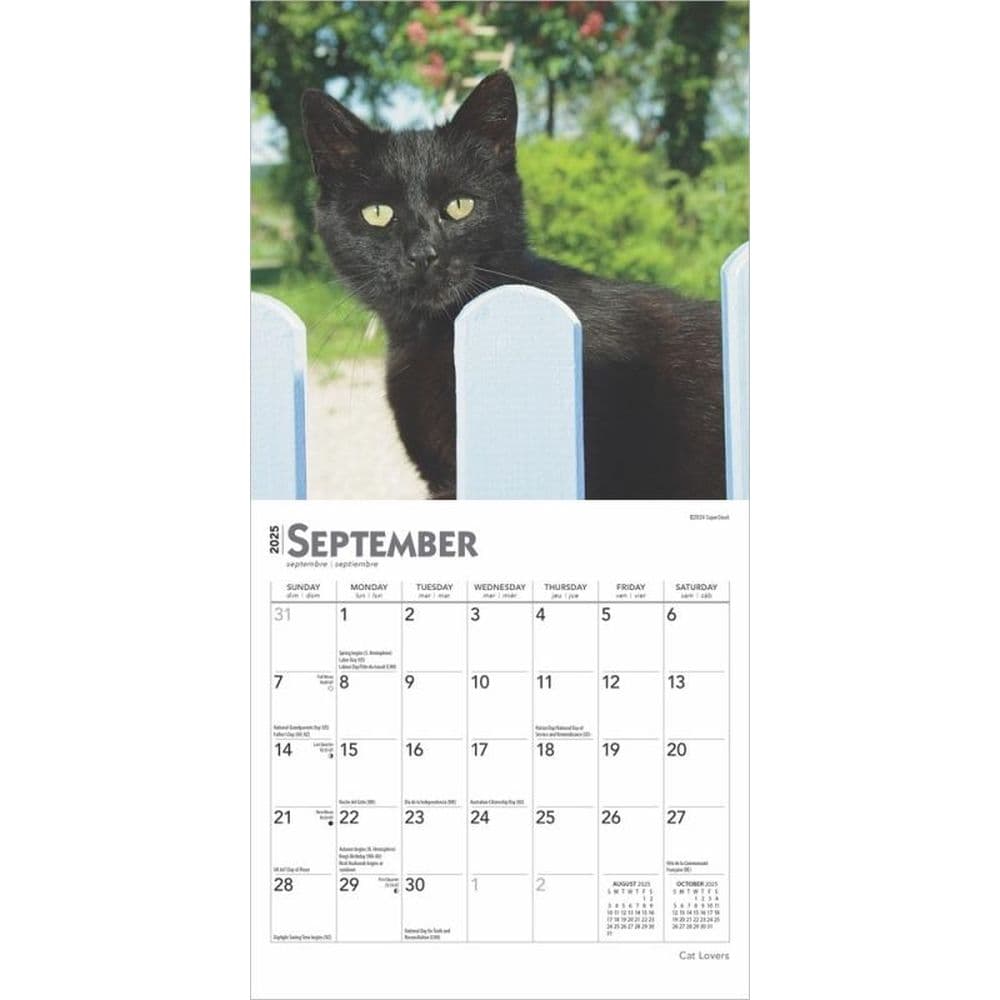 Cat Lovers 2025 Mini Wall Calendar Third Alternate Image