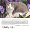 image Cats 365 2025 Desk Calendar Alt2