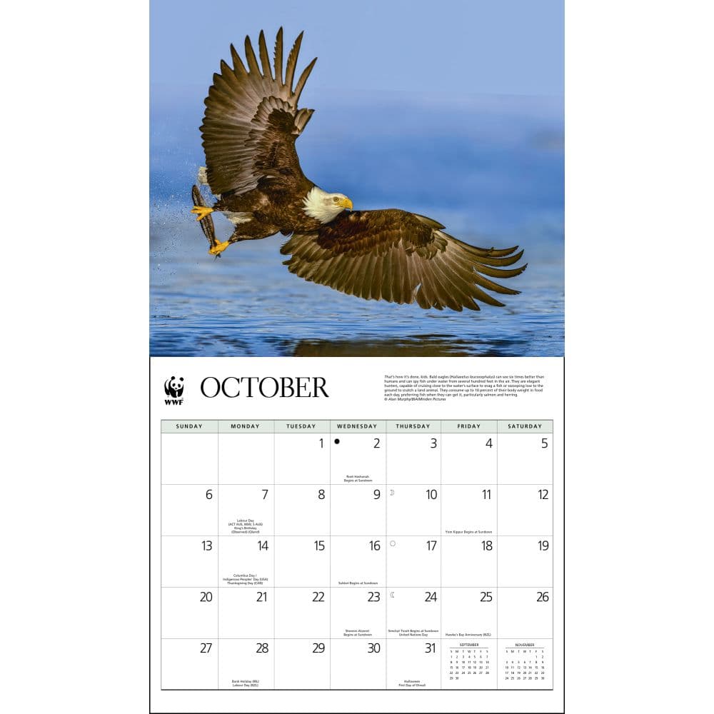 Eagles WWF 2024 Wall Calendar