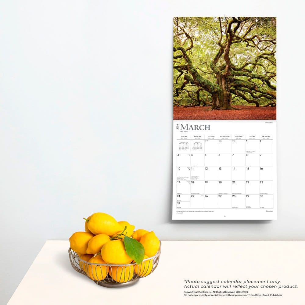 Blessings 2024 Wall Calendar