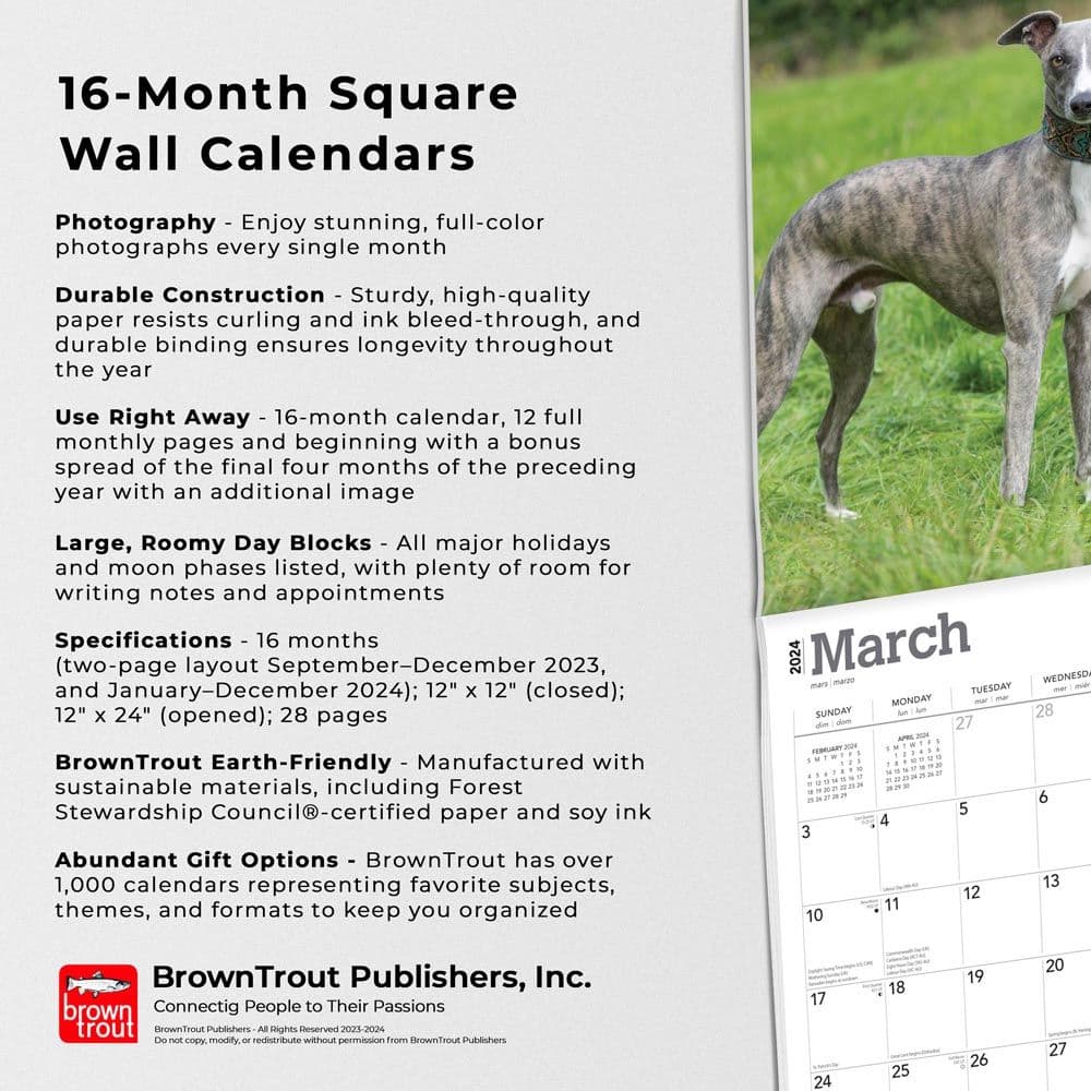 Whippets 2024 Wall Calendar