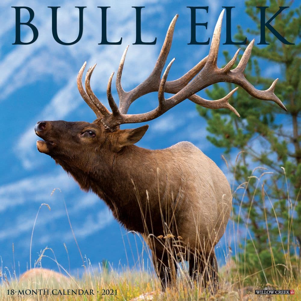 Bull Elk Wall Calendar