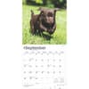 image Chocolate Lab Retriever Puppies 2025 Wall Calendar Third Alternate Image