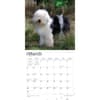 image Old English Sheepdogs 2024 Wall Calendar Second Alternate Image width=&quot;1000&quot; height=&quot;1000&quot;
