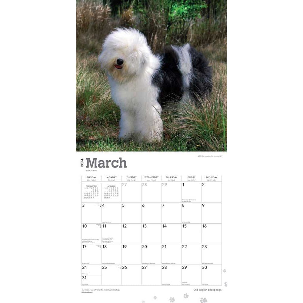 Old English Sheepdogs 2024 Wall Calendar Second Alternate Image width=&quot;1000&quot; height=&quot;1000&quot;