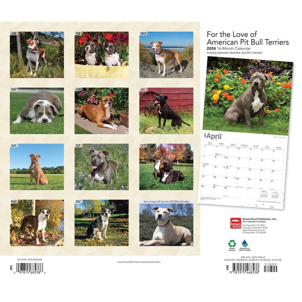 Pit Bull Terriers Deluxe 2024 Wall Calendar