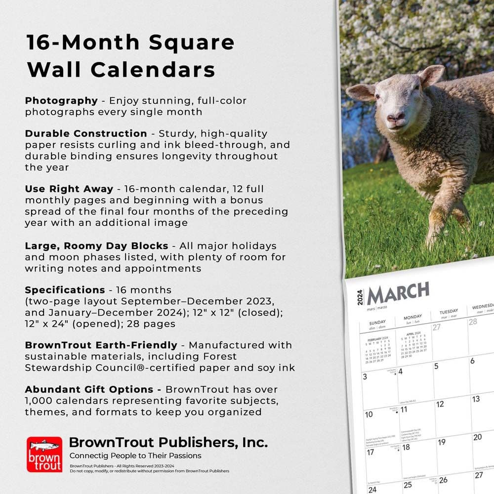 Sheep 2024 Wall Calendar