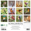 image Songbirds 2025 Wall Calendar