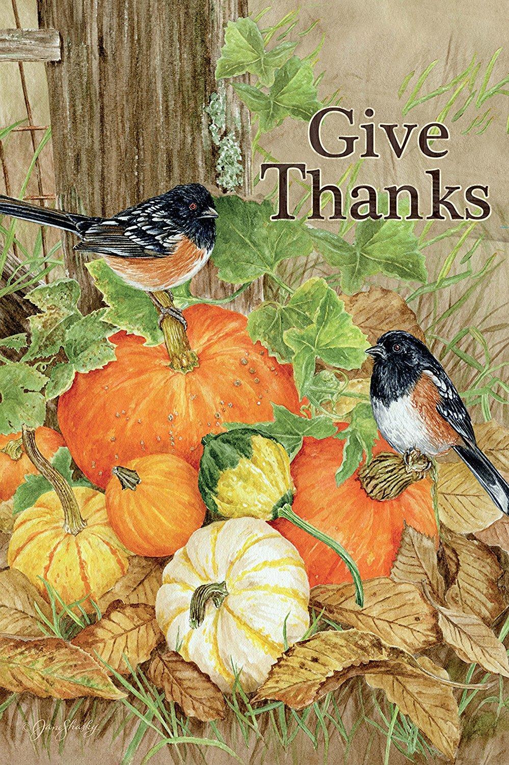 Give Thanks Outdoor Flag-Mini - 12 x 18 by Jane Shasky
