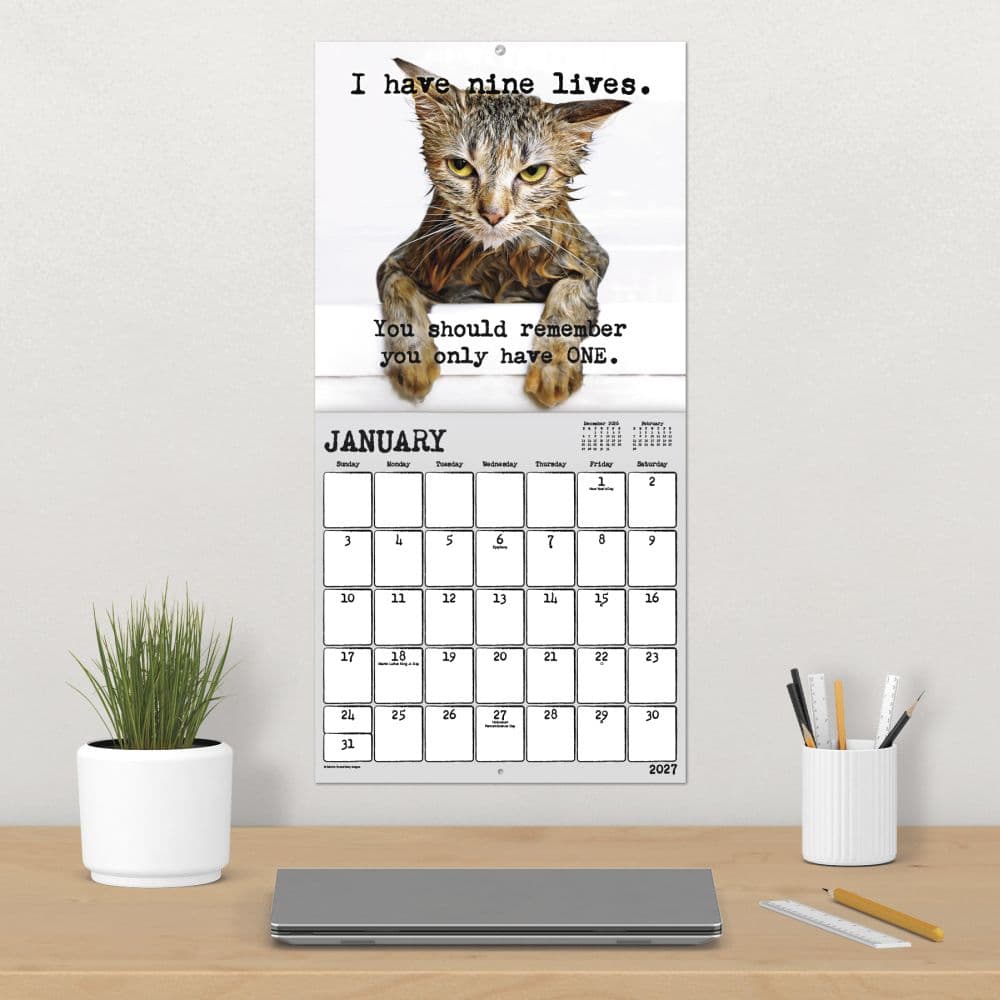 Snarcatstic 2027 Wall Calendar Fourth Alternate Image
