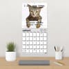 image Snarcatstic 2027 Wall Calendar Fourth Alternate Image
