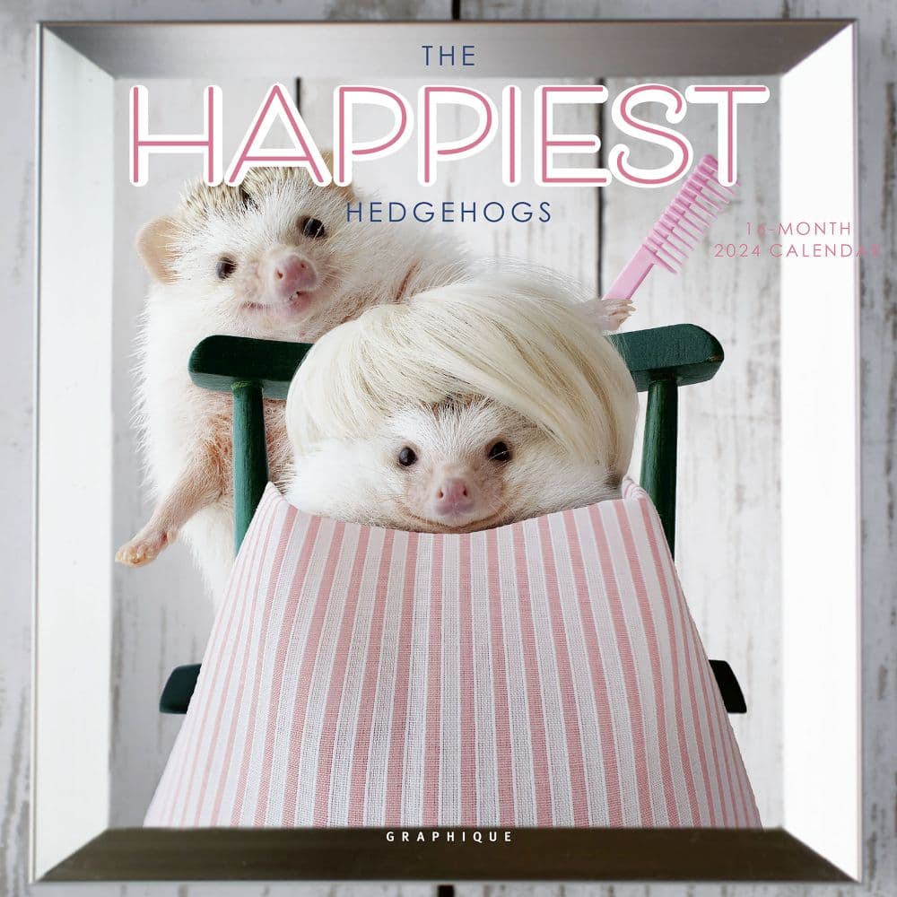 Happiest Hedgehogs 2024 Mini Wall Calendar Main Product Image width=&quot;1000&quot; height=&quot;1000&quot;