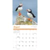 image Puffins 2025 Wall Calendar Fourth Alternate Image width=&quot;1000&quot; height=&quot;1000&quot;