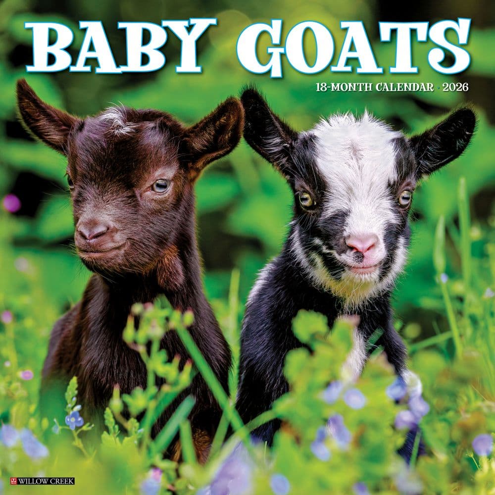 Baby Goats 2026 Wall Calendar Main Image