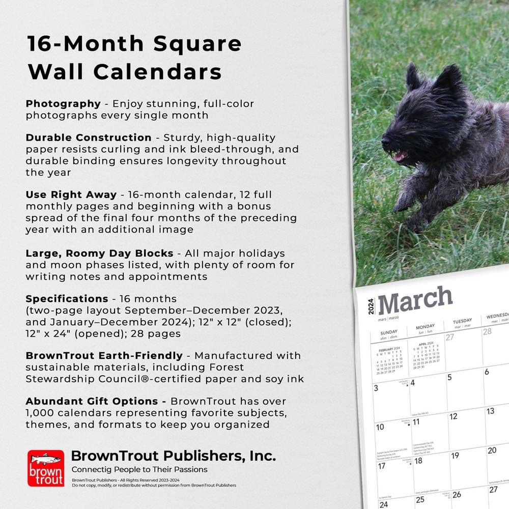 Cairn Terriers 2024 Wall Calendar Fourth Alternate Image width=&quot;1000&quot; height=&quot;1000&quot;