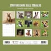 image Staffordshire Bull Terriers 2026 Wall Calendar First Alternate Image