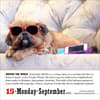 image 365 Dogs 2025 Page-A-Day Desk Calendar Second Alternate Image width=&quot;1000&quot; height=&quot;1000&quot;