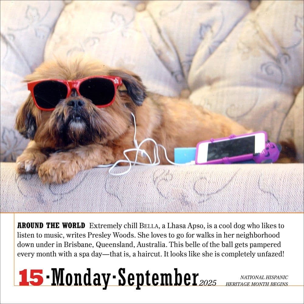 365 Dogs 2025 Page-A-Day Desk Calendar Second Alternate Image width=&quot;1000&quot; height=&quot;1000&quot;