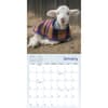 image Lambies in Jammies 2024 Mini Wall Calendar Alternate Image 2