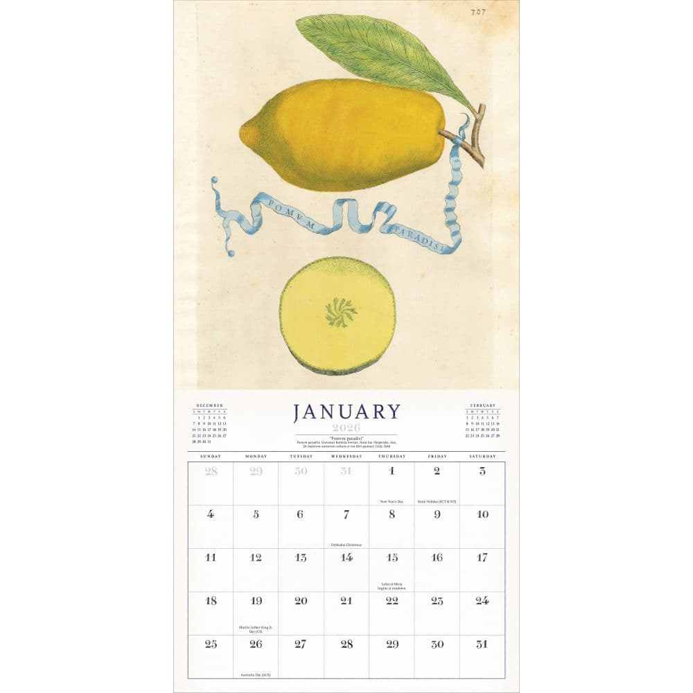 World of John Derian 2026 Wall Calendar Second Alternate Image