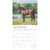 image Magnificent Horses Plato 2025 Wall Calendar