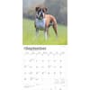 image Boxers International 2025 Wall Calendar