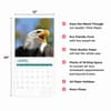 image Bald Eagles 2025 Wall Calendar Fourth Alternate Image width="1000" height="1000"