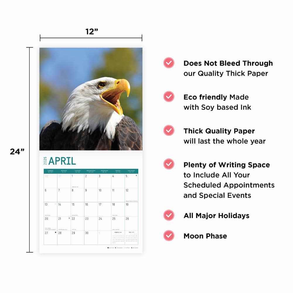 Bald Eagles 2025 Wall Calendar Fourth Alternate Image width="1000" height="1000"