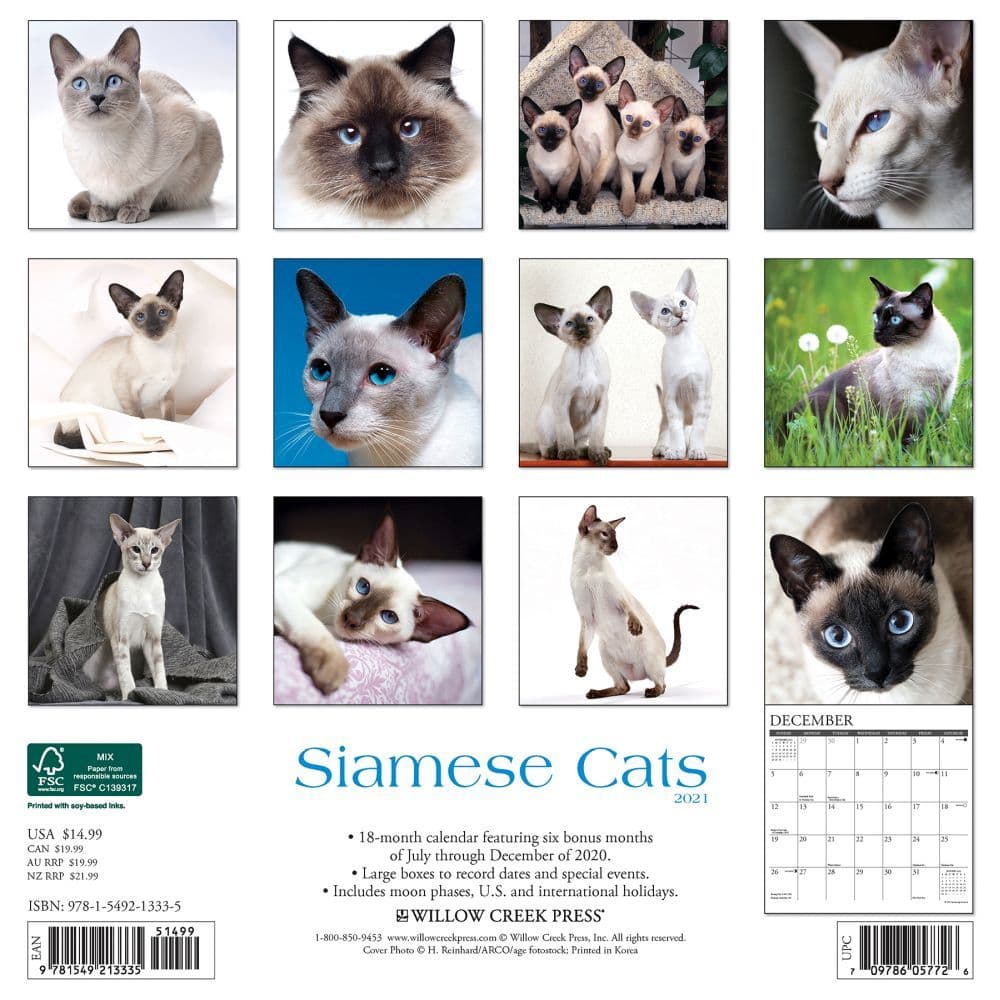 Siamese Cats Wall Calendar